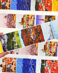 Vignettes Wide Washi/PET Tape