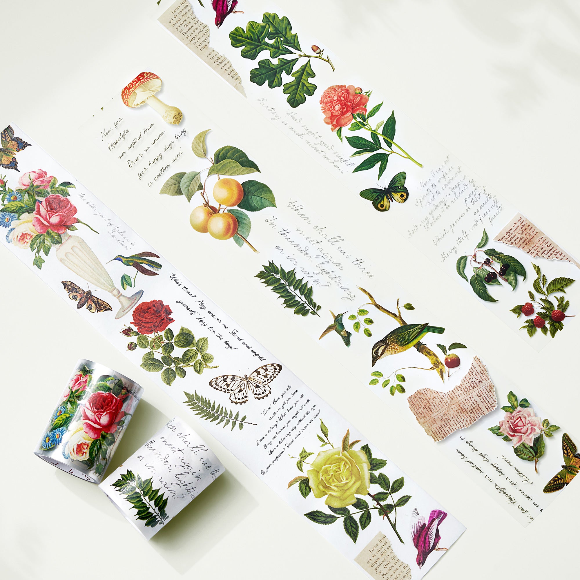 Modern Romantic Transparent PET Tape Set - Flower Journal