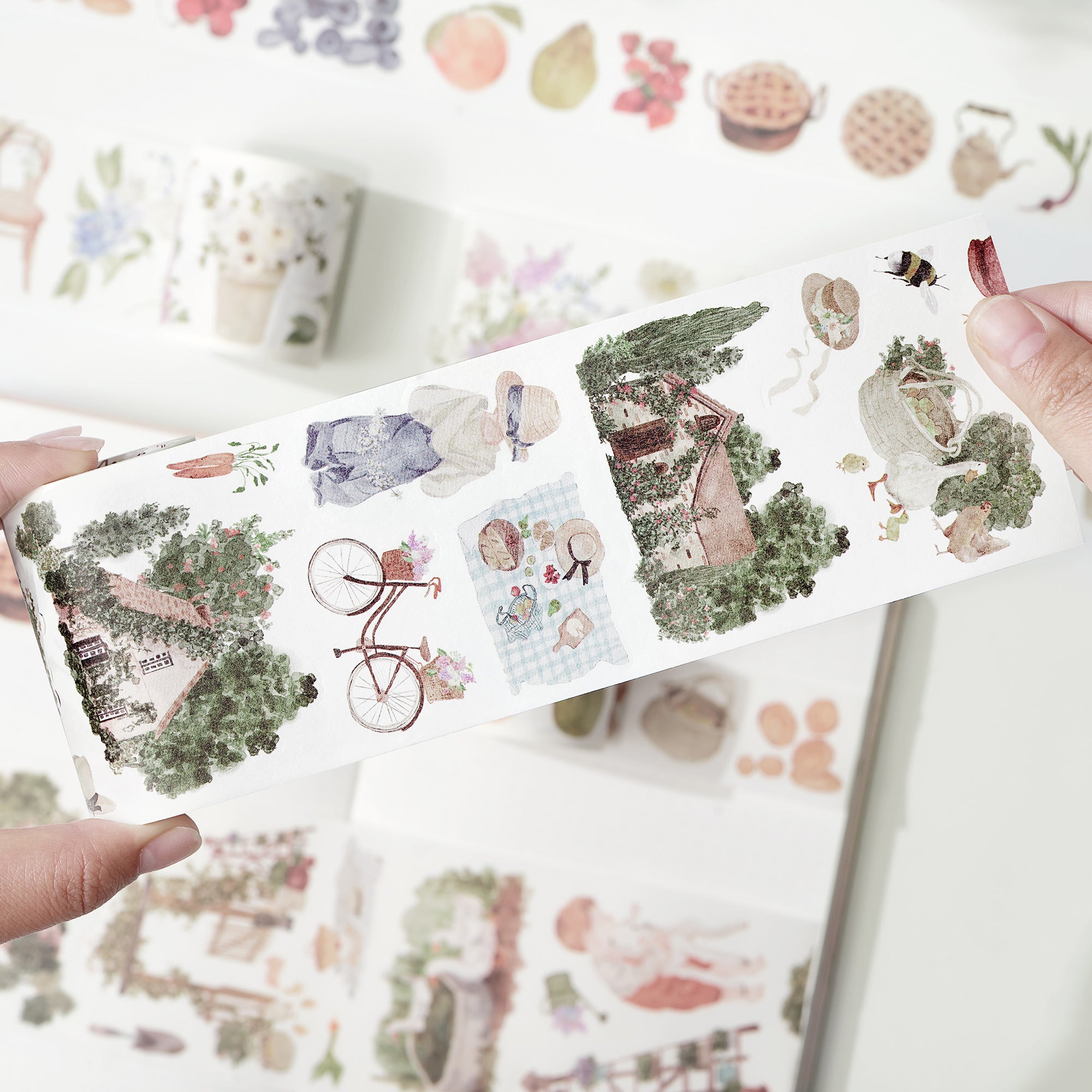 Forest Animal SODA Transparent Sticker Tape Forest Animal SODA Transparent Sticker Tape