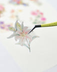 Pre-cut Petal Post Wide Washi/PET Tape | The Washi Tape Shop. Beautiful Washi and Decorative Tape For Bullet Journals, Gift Wrapping, Planner Decoration and DIY Projects