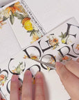 Pre-cut Harvest Script Wide Washi/PET Tape