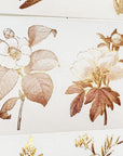 Vintage Botanicals Washi Tape Sticker Set (GILDED) | The Washi Tape Shop. Beautiful Washi and Decorative Tape For Bullet Journals, Gift Wrapping, Planner Decoration and DIY Projects