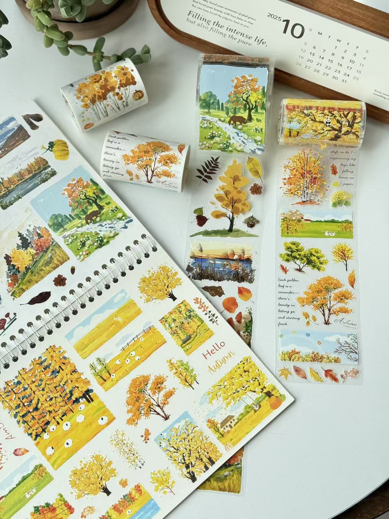 Washi & PET Tapes Under $15