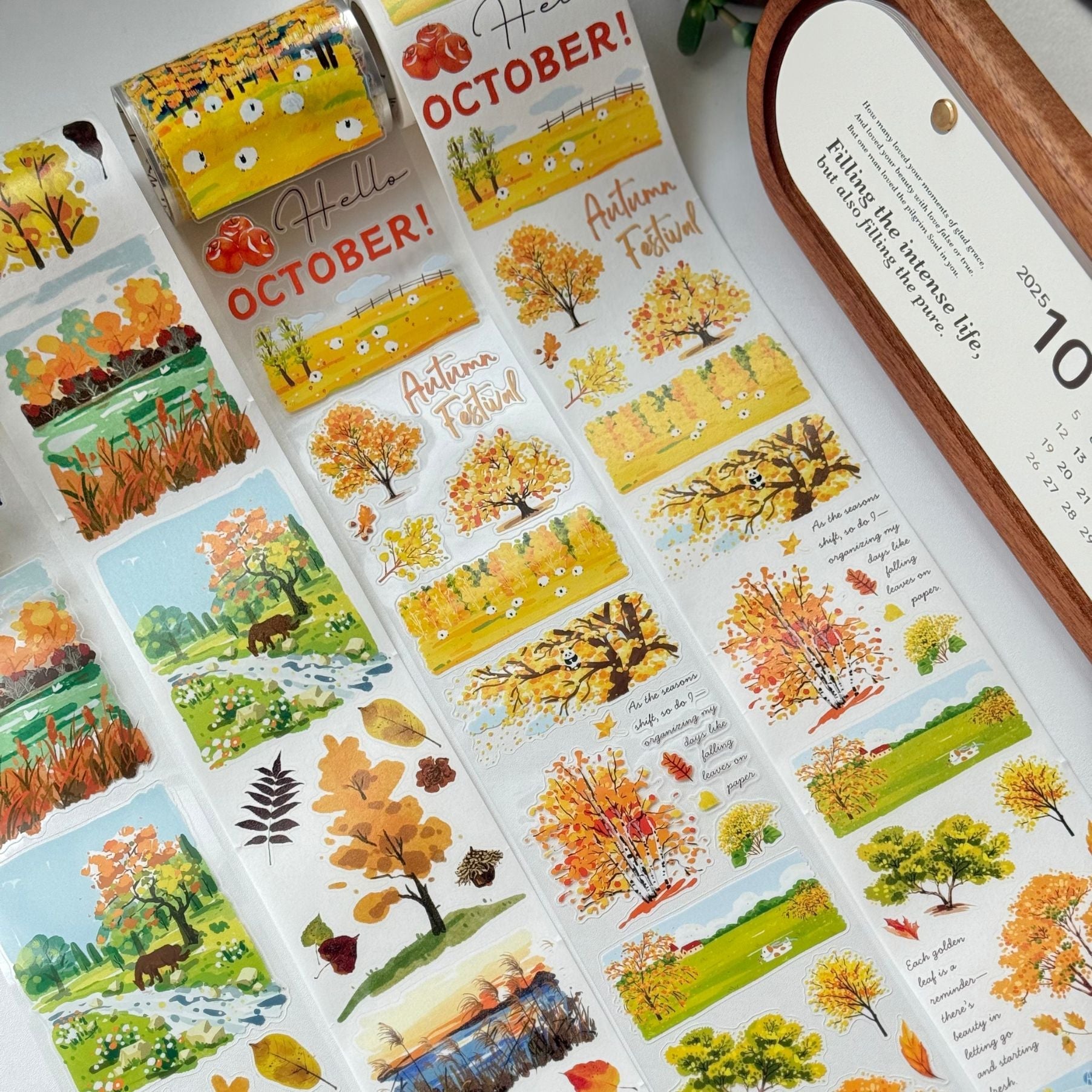 Washi & PET Tapes Under $15