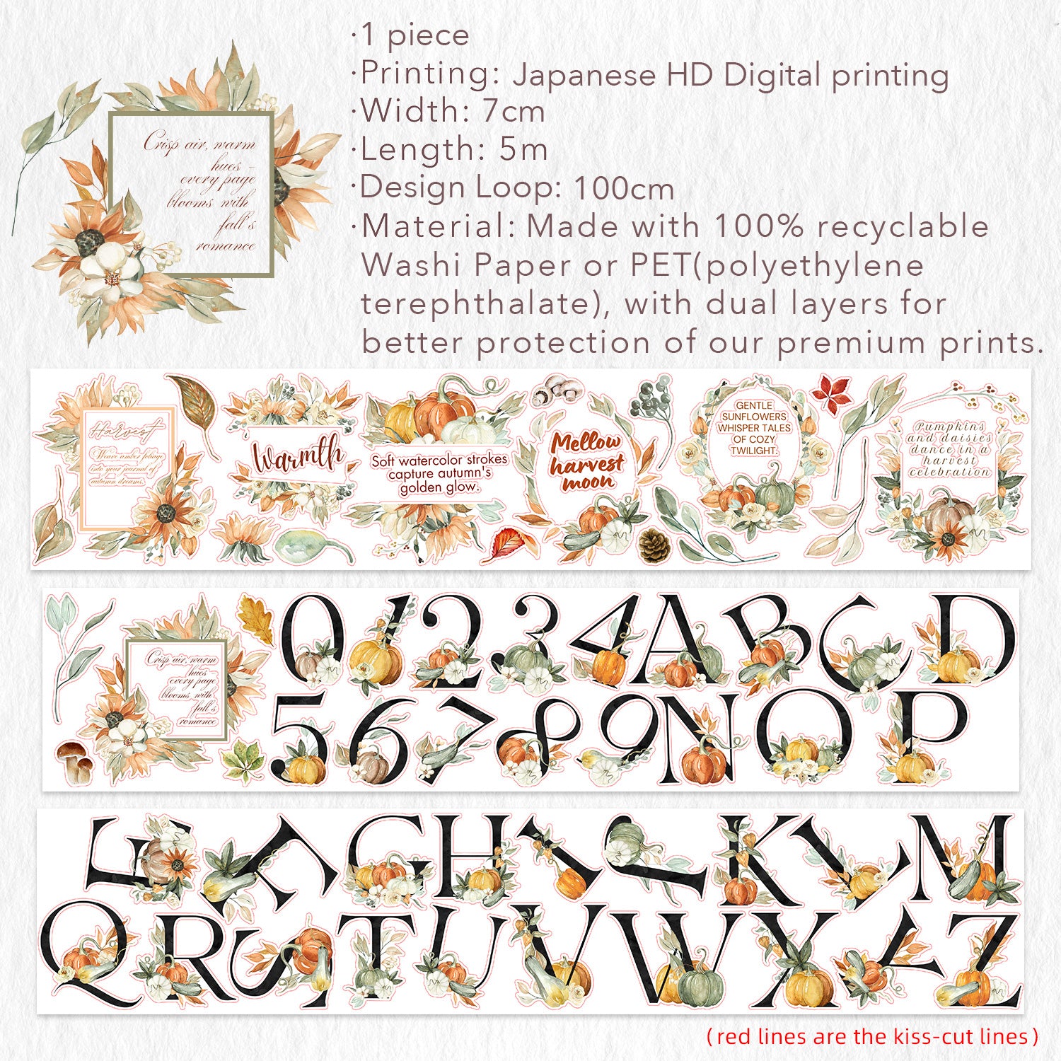 Pre-cut Harvest Script Wide Washi/PET Tape | The Washi Tape Shop. Beautiful Washi and Decorative Tape For Bullet Journals, Gift Wrapping, Planner Decoration and DIY Projects