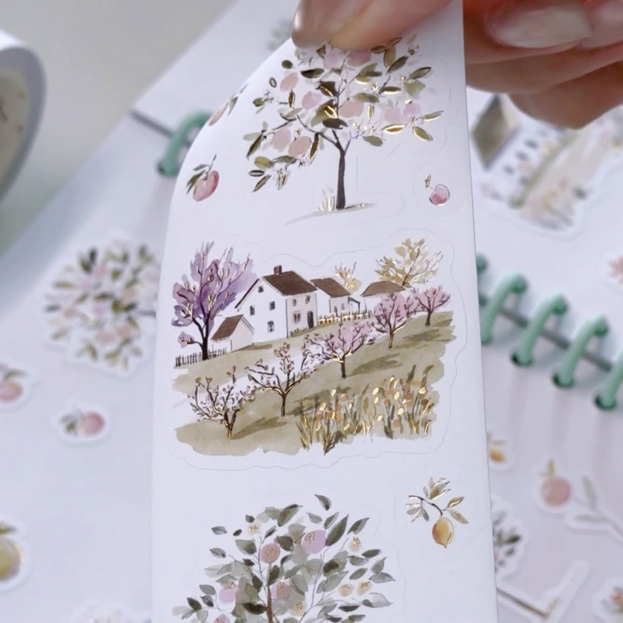 Pre-cut Sunlit Orchard Script Tape Set (GILDED)