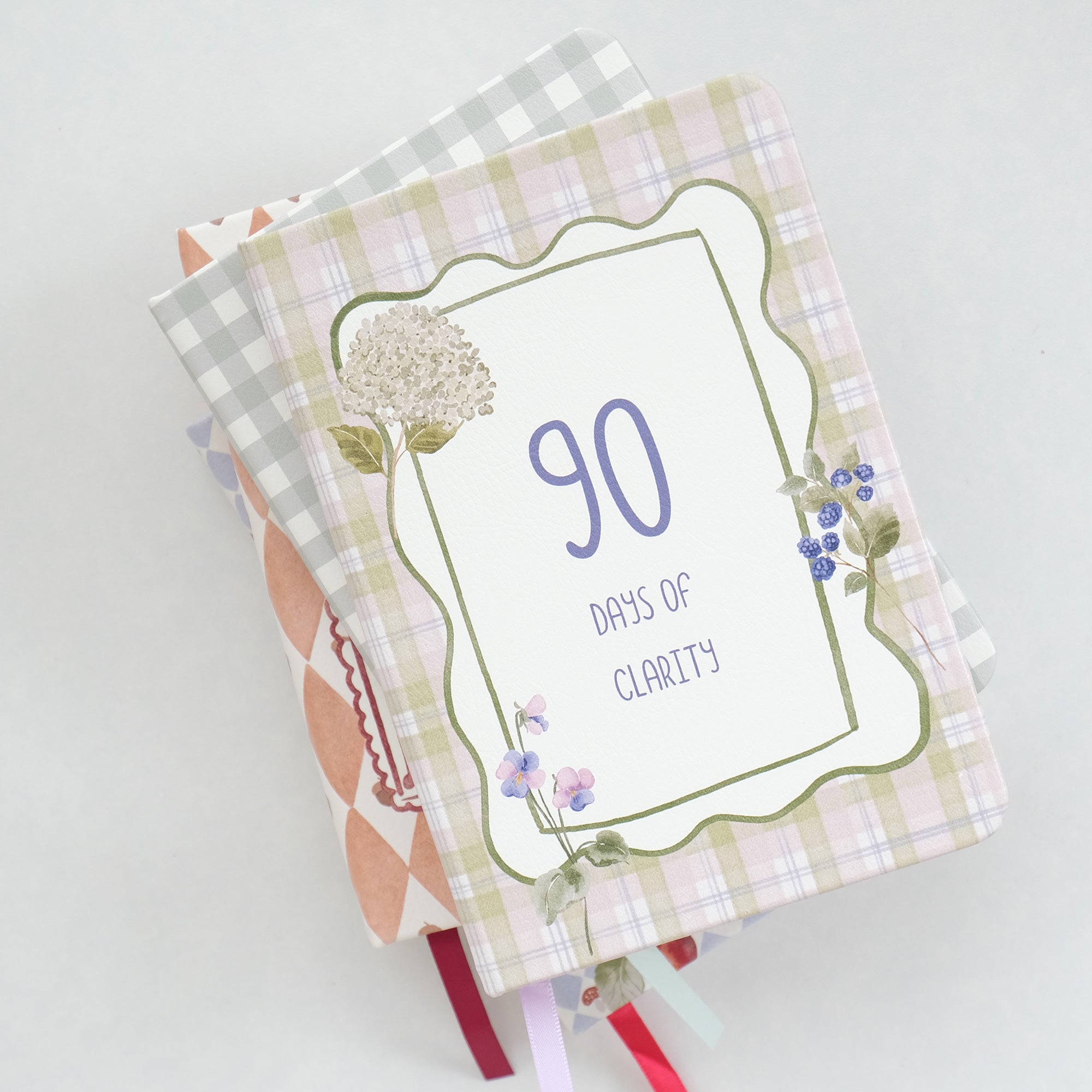 WT 90 Days of Clarity Journal
