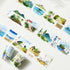 Pre-cut Summer Bliss Wide Washi/PET Tape | The Washi Tape Shop. Beautiful Washi and Decorative Tape For Bullet Journals, Gift Wrapping, Planner Decoration and DIY Projects