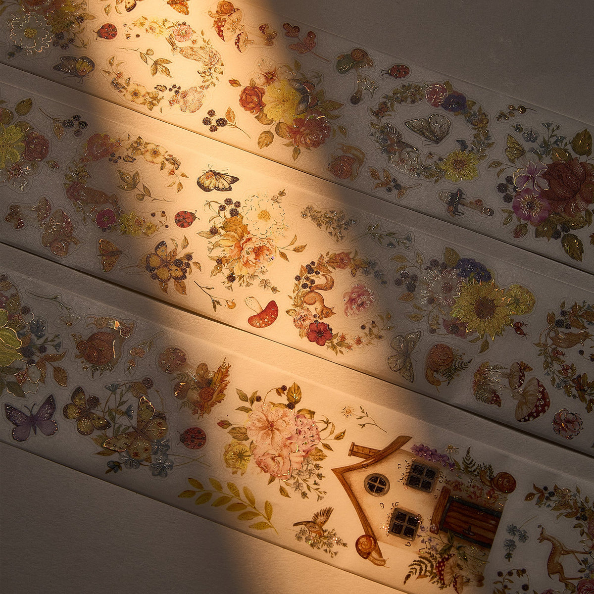 Collection Image