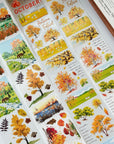Pre-cut Hello Autumn Bundle