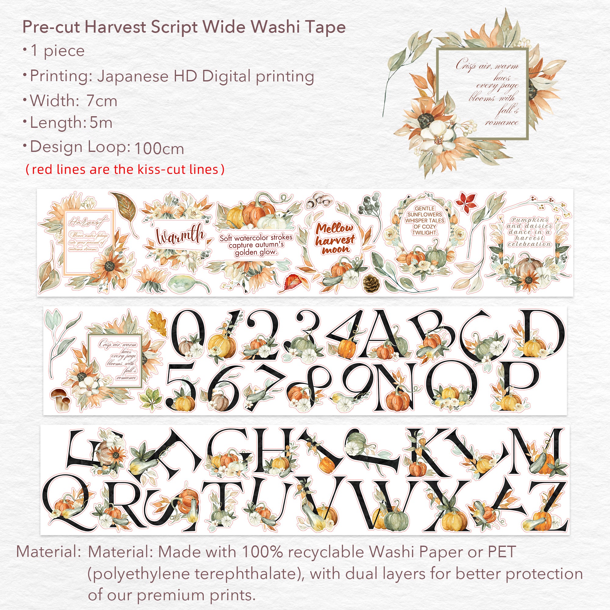 Pre-cut Harvest Script Wide Washi/PET Tape | The Washi Tape Shop. Beautiful Washi and Decorative Tape For Bullet Journals, Gift Wrapping, Planner Decoration and DIY Projects