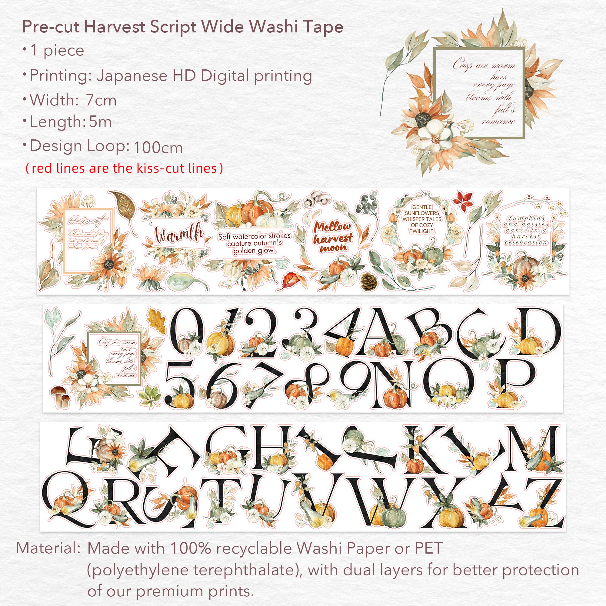 Pre-cut Harvest Script Wide Washi/PET Tape | The Washi Tape Shop