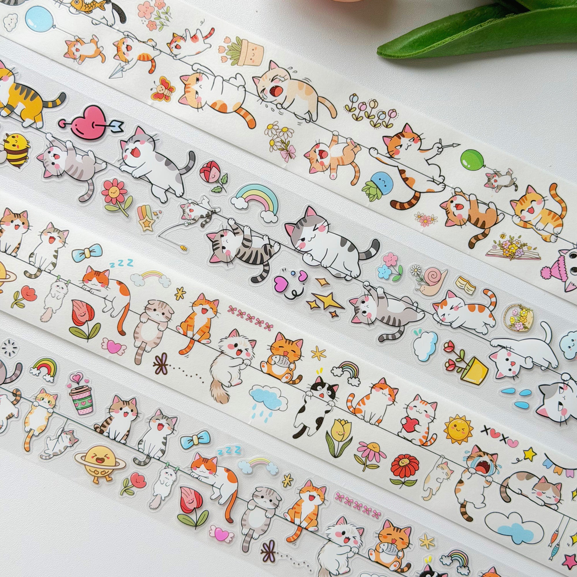 Pre-cut Kitty Conga Bundle
