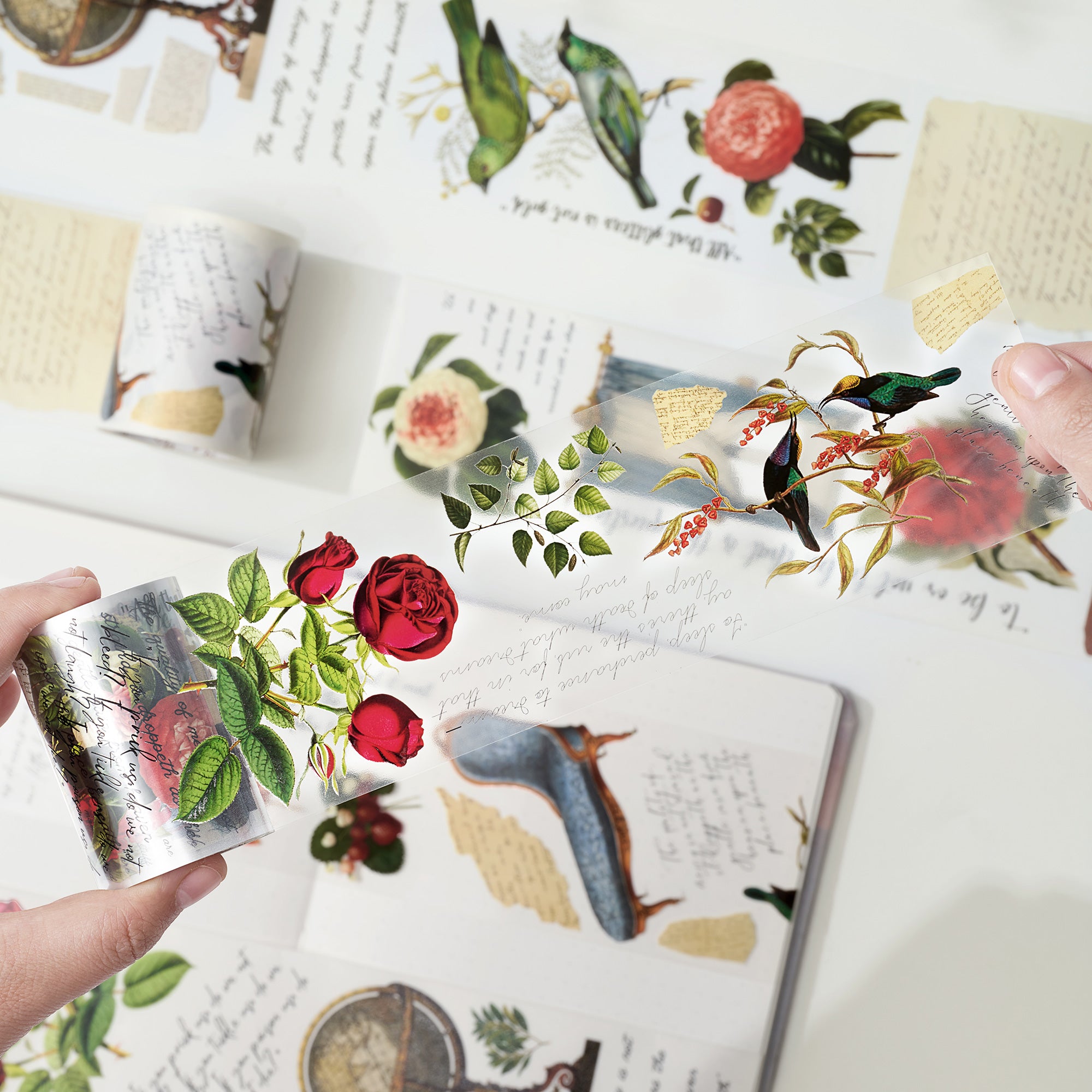 Macbeth's Manuscripts Wide Washi / PET Tape | The Washi Tape Shop. Beautiful Washi and Decorative Tape For Bullet Journals, Gift Wrapping, Planner Decoration and DIY Projects