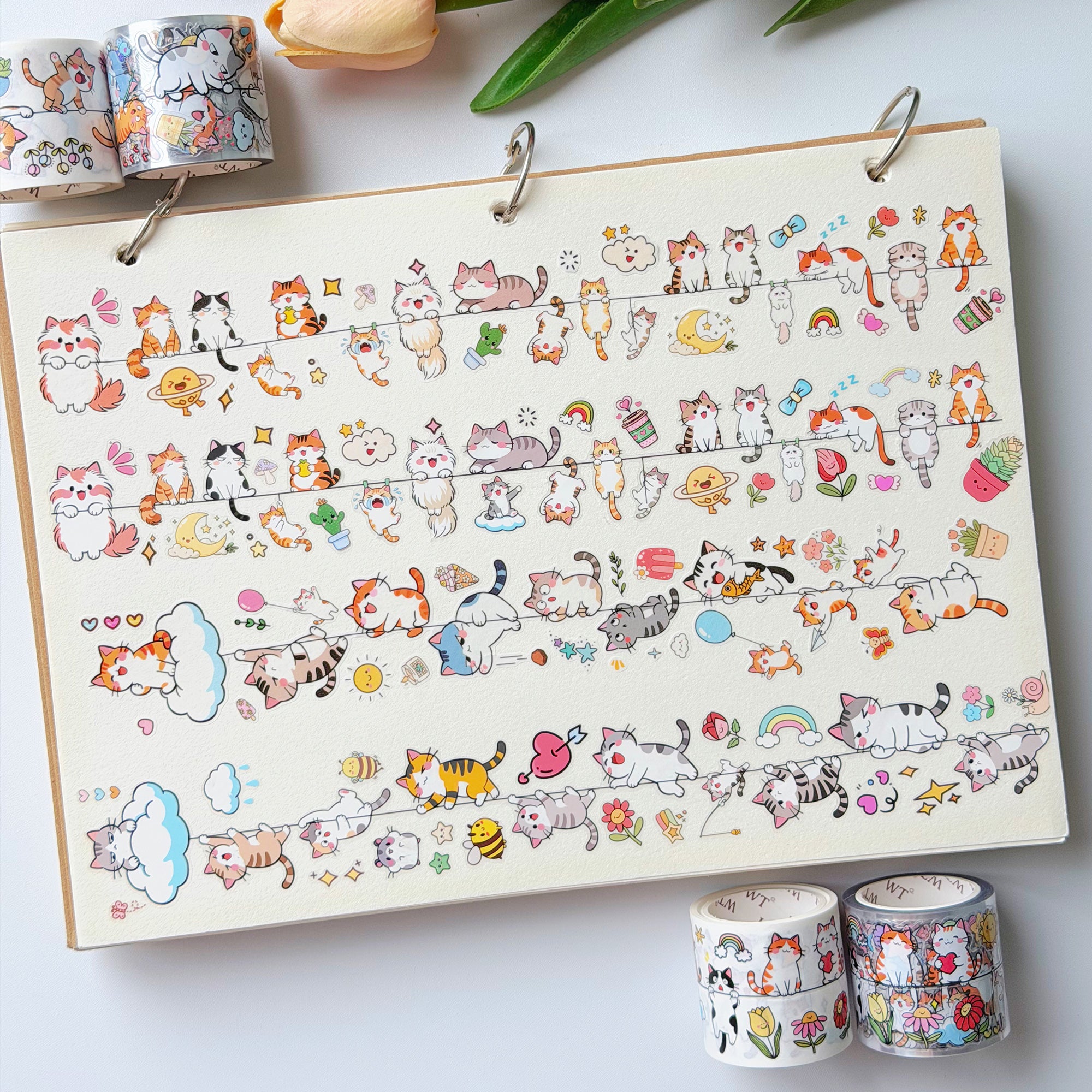 Pre-cut Kitty Conga Bundle