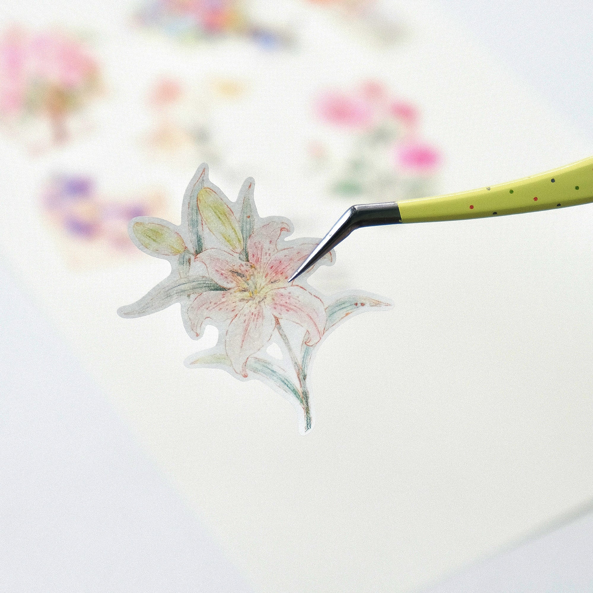Pre-cut Petal Post Wide Washi/PET Tape | The Washi Tape Shop. Beautiful Washi and Decorative Tape For Bullet Journals, Gift Wrapping, Planner Decoration and DIY Projects