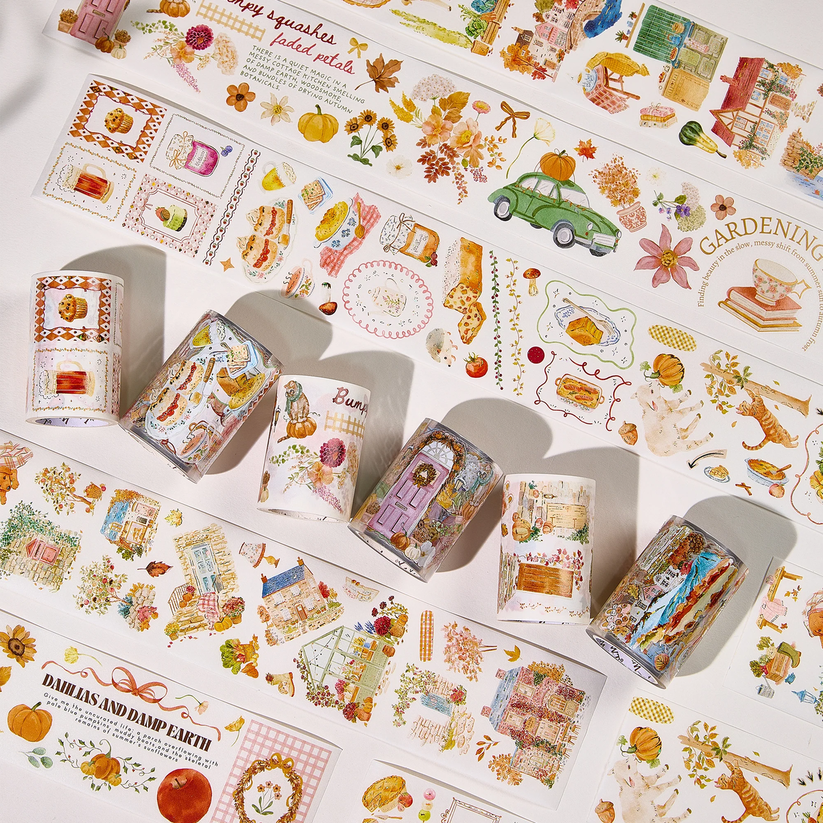 Collection Image