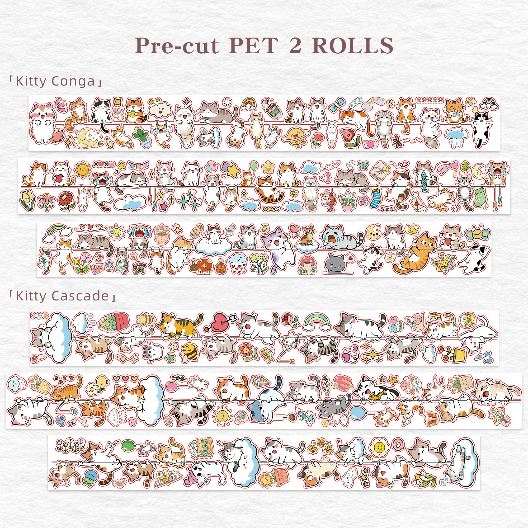 Pre-cut Kitty Conga Bundle