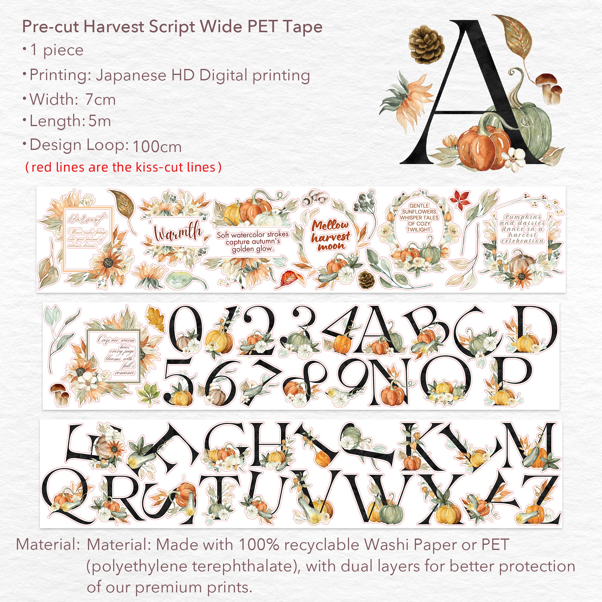 Pre-cut Harvest Script Wide Washi/PET Tape | The Washi Tape Shop. Beautiful Washi and Decorative Tape For Bullet Journals, Gift Wrapping, Planner Decoration and DIY Projects